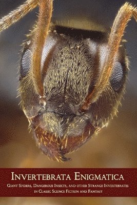 bokomslag Invertebrata Enigmatica