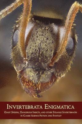 Chad Arment - Invertebrata Enigmatica, Häftad
