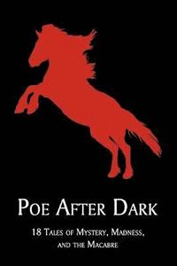 bokomslag Poe After Dark
