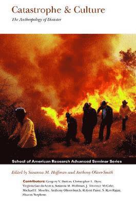 Catastrophe & Culture