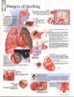 bokomslag Effects of Smoking, Laminated Chart