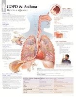 bokomslag COPD and Asthma