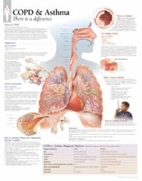 bokomslag Copd/asthma, Laminated Chart