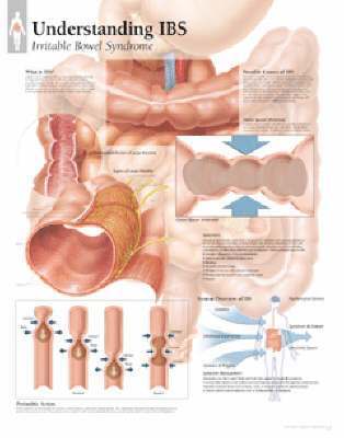 Understanding IBS 1