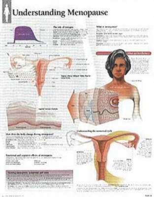 Understanding Menopause 1