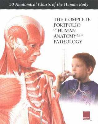 Complete Portfolio of Human Anatomy and Pathology 1