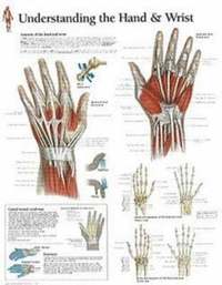 bokomslag Understanding the Hand & Wrist Chart