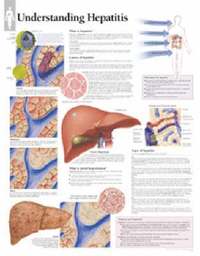 bokomslag Understanding Hepatitis Chart