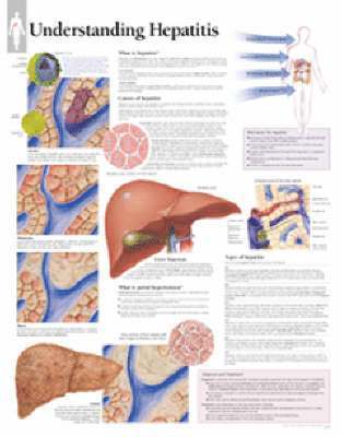 bokomslag Understanding Hepatitis Chart