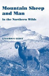 bokomslag Mountain Sheep and Man in the Northern Wilds