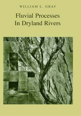 Fluvial Processes in Dryland Rivers 1