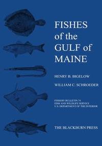 bokomslag Fishes of the Gulf of Maine