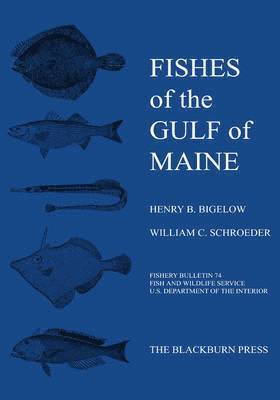 Henry B Bigelow, William C. Schroeder - Fishes of the Gulf of Maine, Inbunden