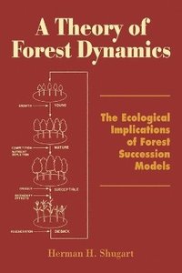 bokomslag A Theory of Forest Dynamics