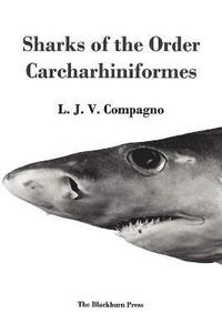 bokomslag Sharks of the Order Carcharhiniformes