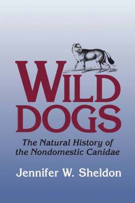 Wild Dogs 1