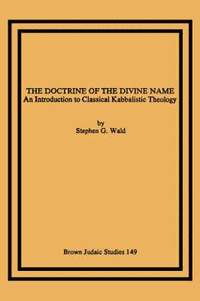 bokomslag The Doctrine of the Divine Name