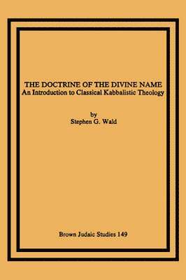 bokomslag The Doctrine of the Divine Name