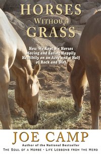 bokomslag Horses Without Grass