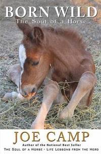 bokomslag Born Wild - The Soul of a Horse