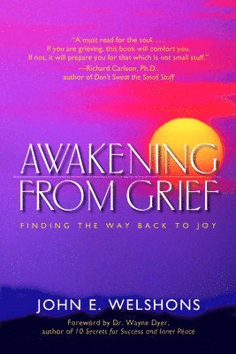 bokomslag Awakening From Grief