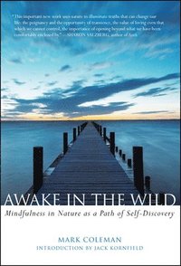 bokomslag Awake in the Wild: Mindfulness in Nature as a Path of Self-Discovery
