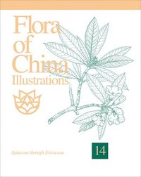 bokomslag Flora Of China Illustrations, Volume 14 - Apiaceae Through Ericaceae