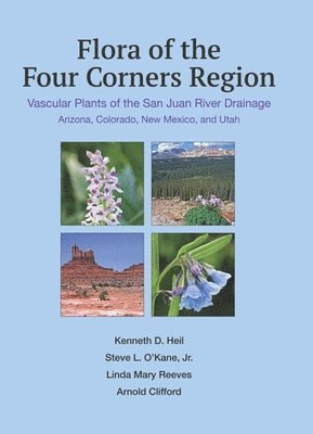 bokomslag Flora of the Four Corners Region - Vascular Plants of the San Juan River Drainage: Arizona, Colorado, New Mexico, and Utah