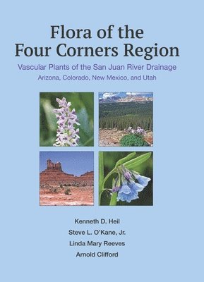 bokomslag Flora Of The Four Corners Region - Vascular Plants Of The San Juan River Drainage: Arizona, Colorado, New Mexico, And Utah