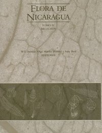 bokomslag Flora De Nicaragua - Tomo Iv, Helechos