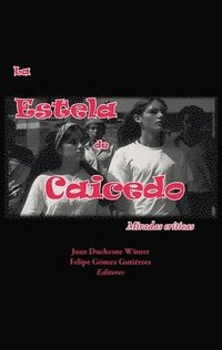 bokomslag La Estela de Caicedo: Miradas Crticas
