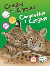 bokomslag Cuddled and Carried / Consentido Y Cargado