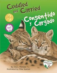 bokomslag Cuddled And Carried / Consentido Y Cargado