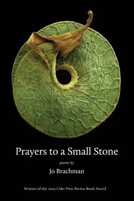 Prayers to a Small Stone 1