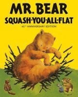 bokomslag Mr Bear Squash You All Flat