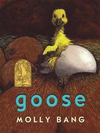 bokomslag Goose