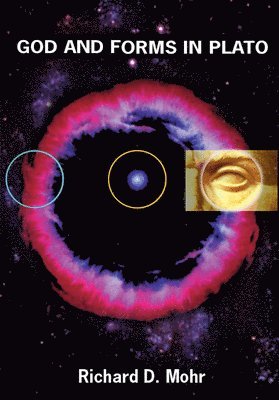 bokomslag God and Forms in Plato: And Other Essays in Plato's Metaphysics