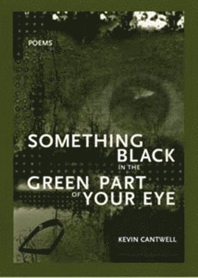 bokomslag Something Black in the Green Part of Your Eye