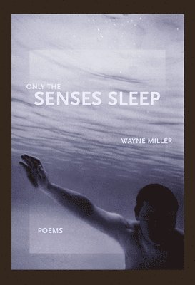 Wayne Miller - Only the Senses Sleep, Häftad