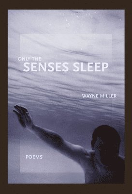 Only the Senses Sleep 1