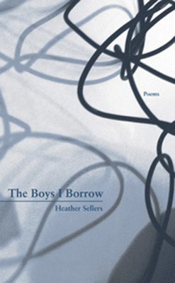 bokomslag Boys I Borrow