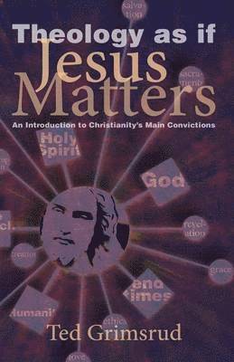 bokomslag Theology As If Jesus Matters