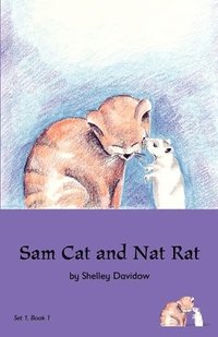 bokomslag Sam Cat and Nat Rat: Book 1