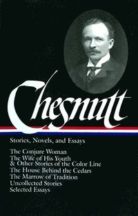 bokomslag Stories, Novels, and Essays