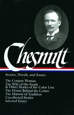 bokomslag Stories, Novels, and Essays
