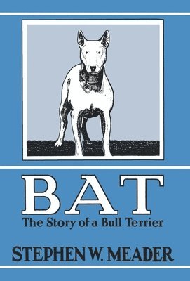 BAT, The Story of a Bull Terrier 1