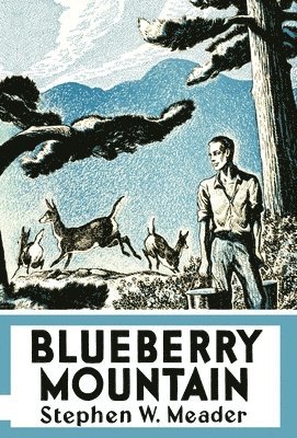 Stephen W. Meader - Blueberry Mountain, Inbunden