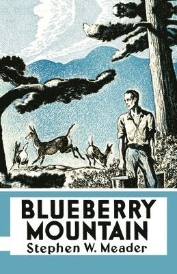 Blueberry Mountain 1