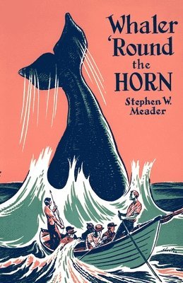 bokomslag Whaler 'Round the Horn