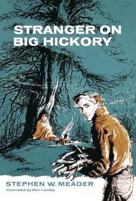 bokomslag Stranger on Big Hickory